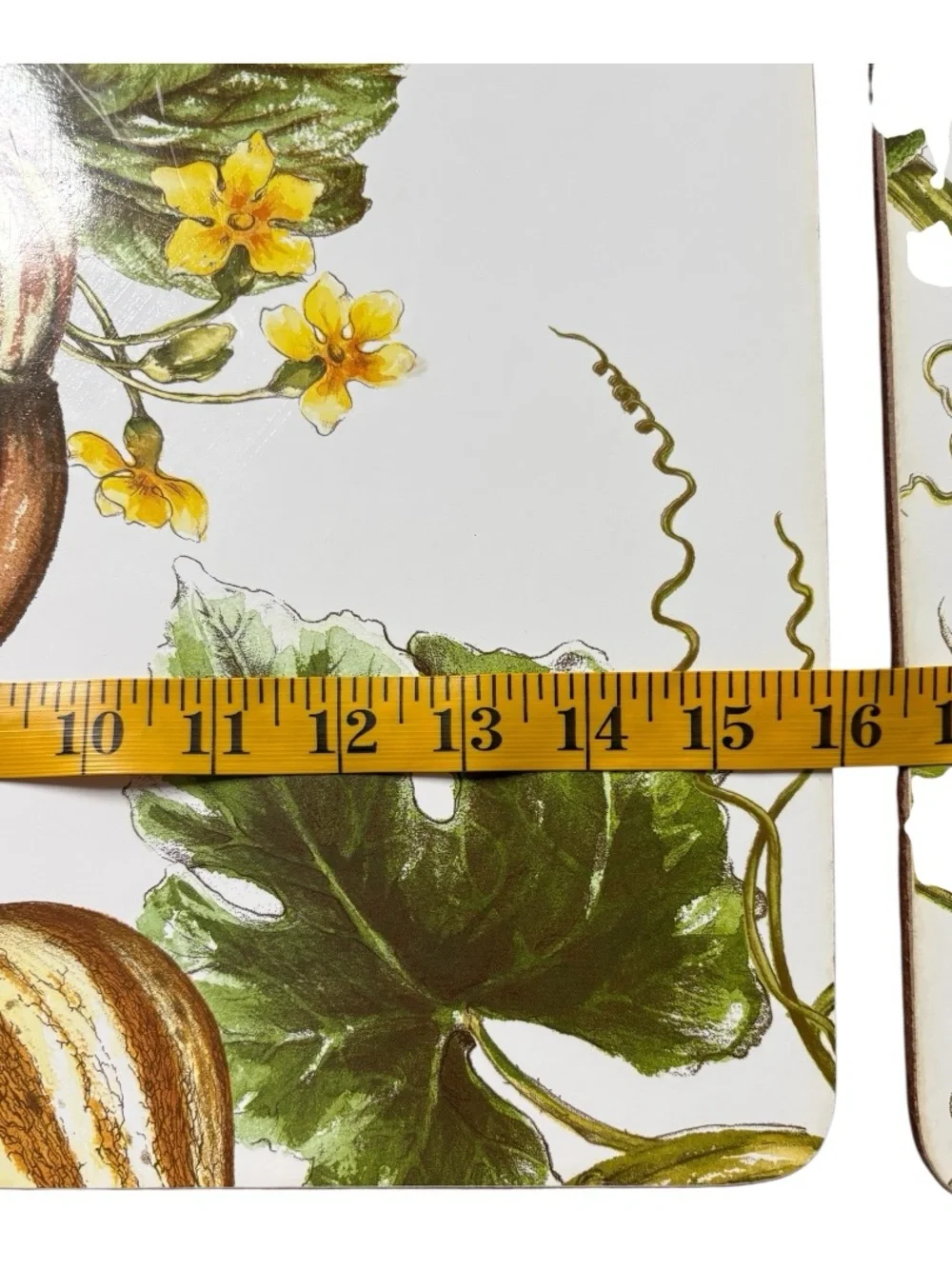 Williams Sonoma Vintage Botanical Pumpkin Cork-Back Placemats Set of 4 Fall